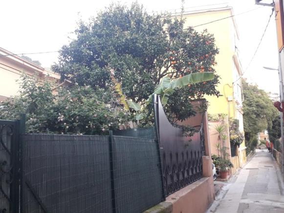 Les Violettes Apartment ม็องตง ภายนอก รูปภาพ