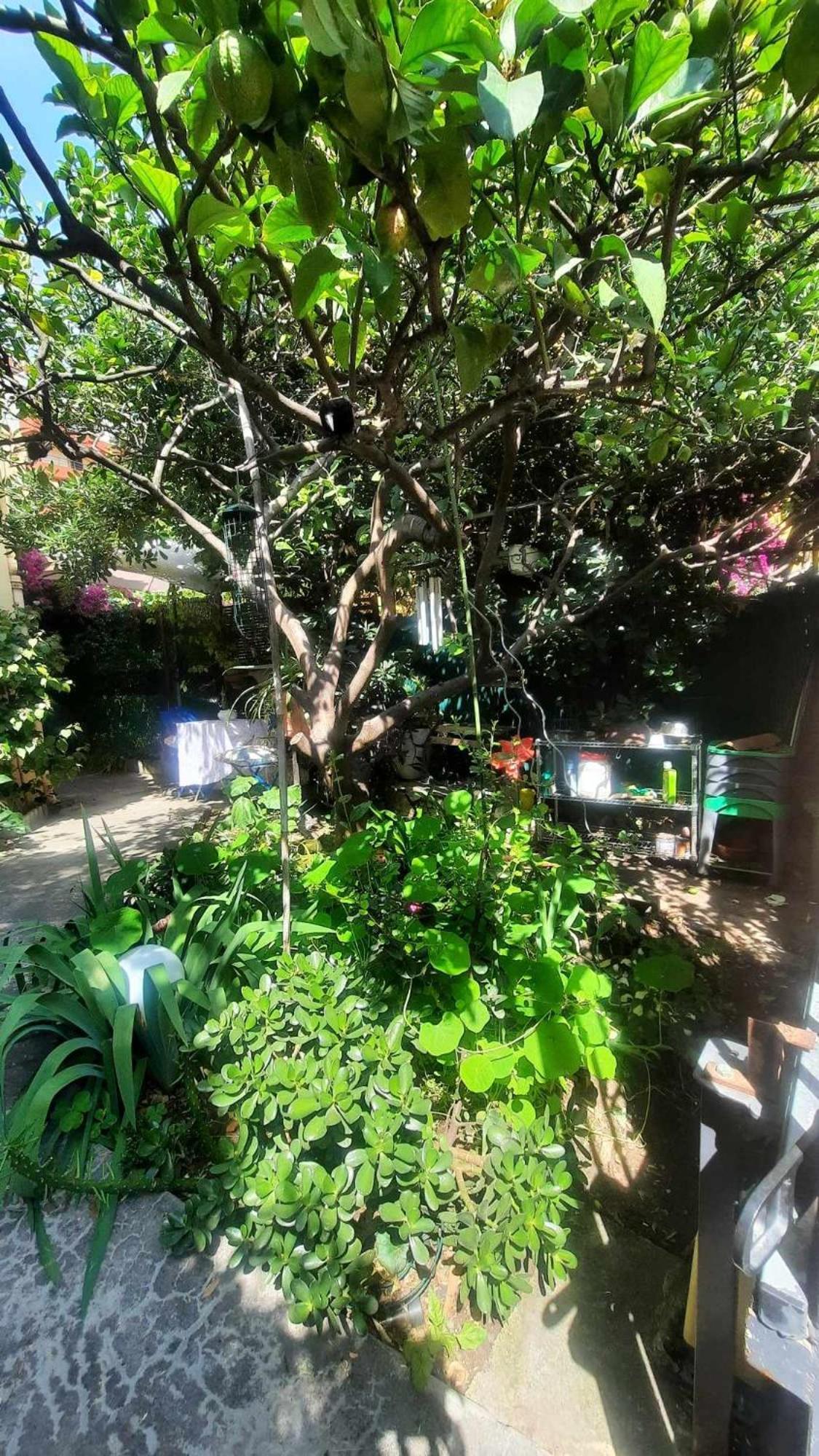 Les Violettes Apartment ม็องตง ภายนอก รูปภาพ