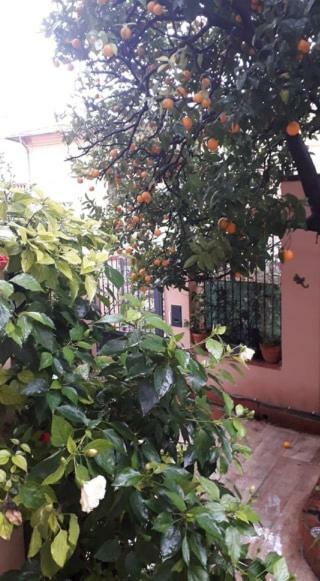 Les Violettes Apartment ม็องตง ภายนอก รูปภาพ
