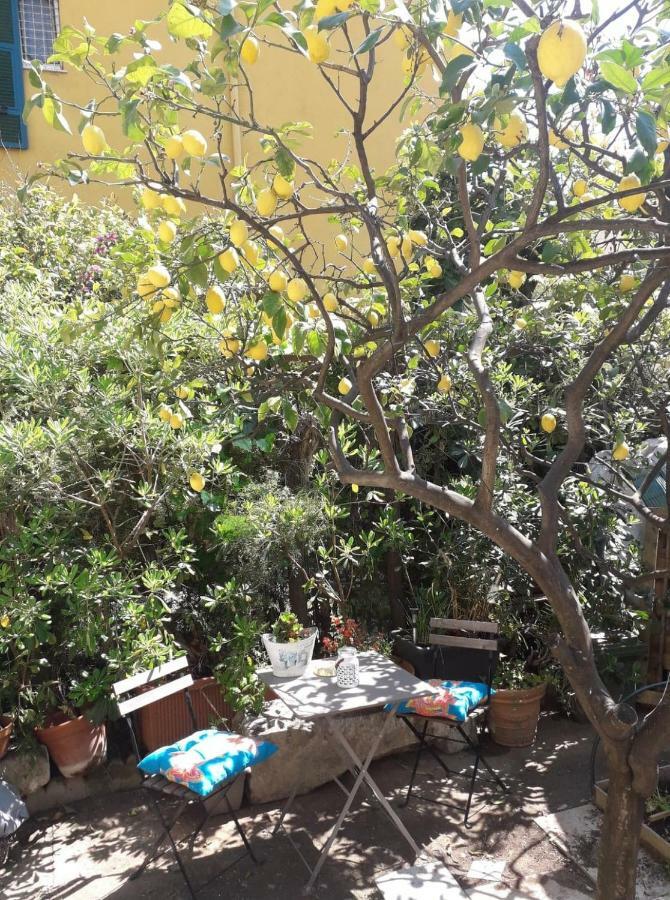Les Violettes Apartment ม็องตง ภายนอก รูปภาพ